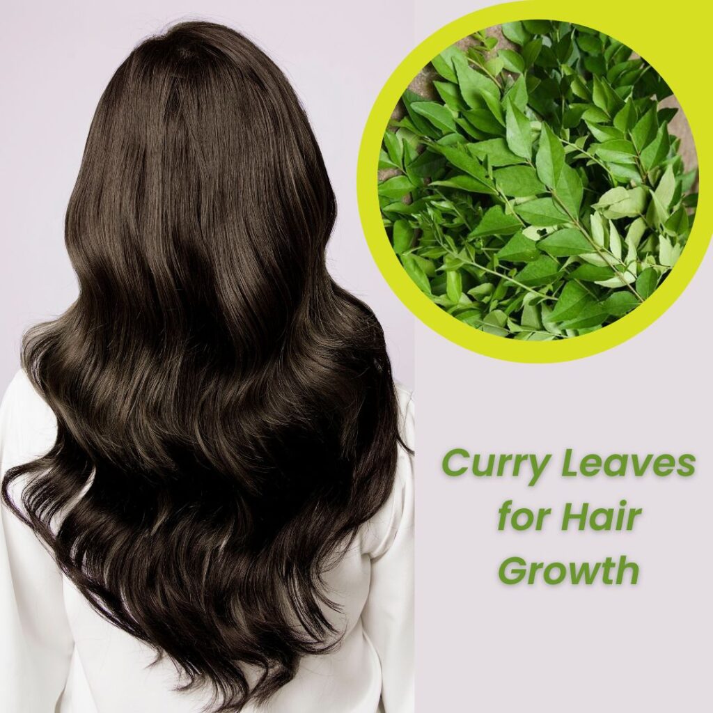 Benefit of Curry Leaves in Hair Growth